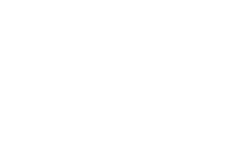 StartupVG